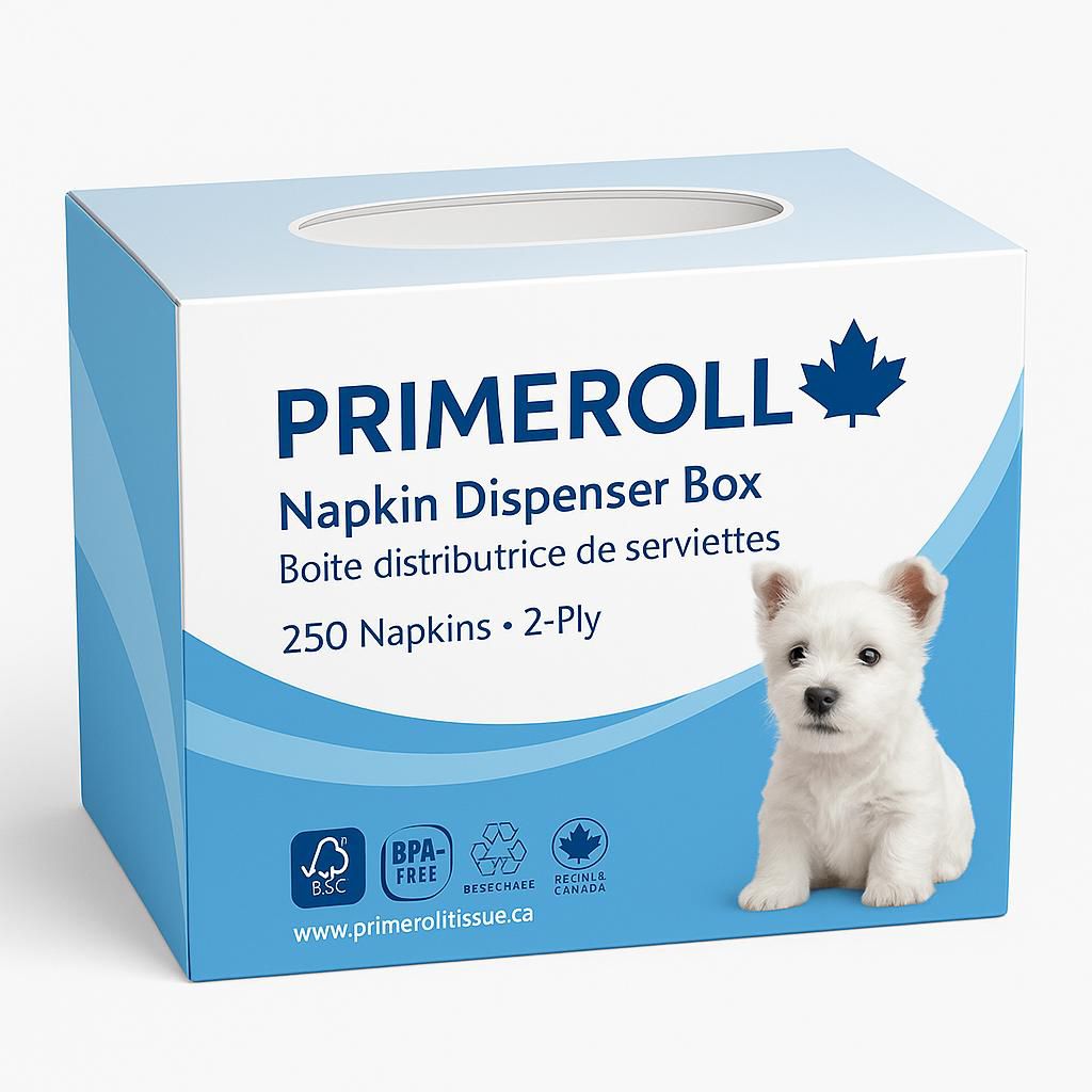 Napkin Dispenser Box